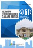 Tebing Tinggi Kota Subdistrict in Figures 2018