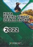 Kota Tebing Tinggi Dalam Angka 2022